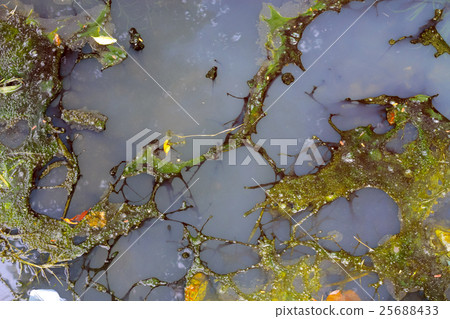 oil Slick and dirty water flow out of the sewer oil Slick and dirty water flow out of the sewer 25688433