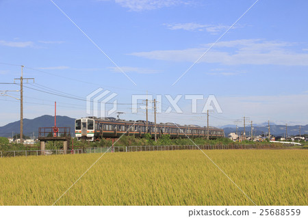 兩線211系列(5車系列) 兩線211系列(5車系列) 25688559