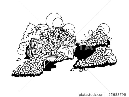 Black and white illustration of grapes Black and white illustration of grapes 25688796