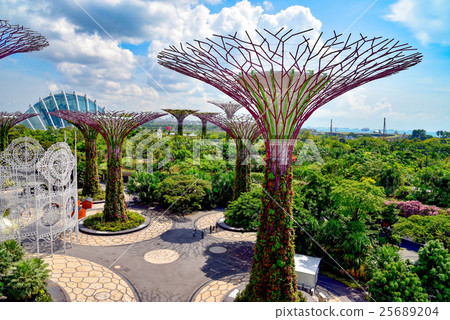 Super tree 25689204