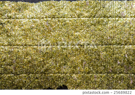 Large seaweed 25689822