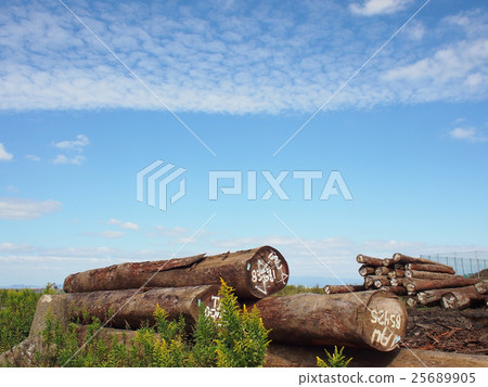 Storage lumber Storage lumber 25689905