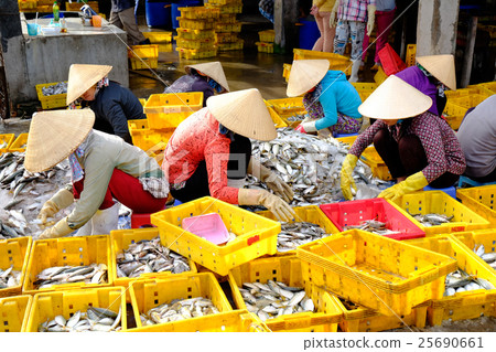 Vietnam women with conical hat are making fish Vietnam women with conical hat are making fish 25690661