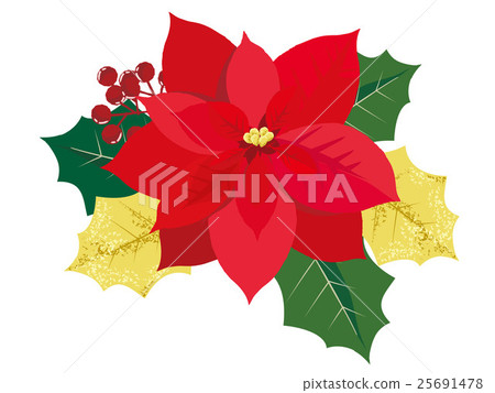 聖誕節一品紅例證 聖誕節一品紅例證 25691478