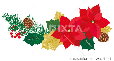 Christmas poinsettia illustration Christmas poinsettia illustration 25691481