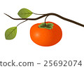 柿子分支例證 25692074