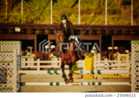 Equestrian Sports. Horse Jumping. Show. Photo 25696013