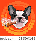 Cute dog head with a Cuban cigar 25696148
