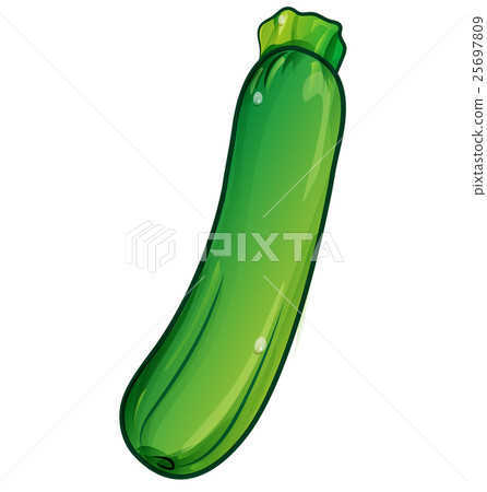 zucchini cartoon zucchini cartoon 25697809