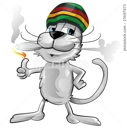 fun jamaican cat isolated on white background fun jamaican cat isolated on white background 25697873