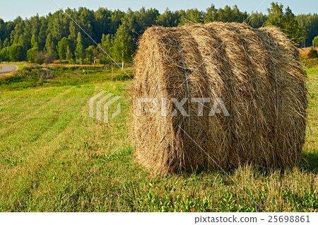 Sheaf of hay on the rural field Sheaf of hay on the rural field 25698861
