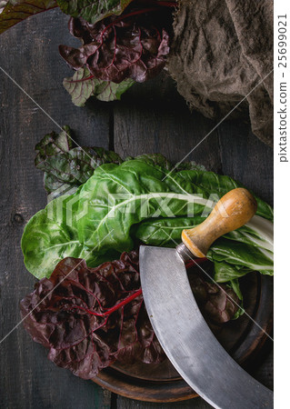 Chard mangold salad leaves 25699021