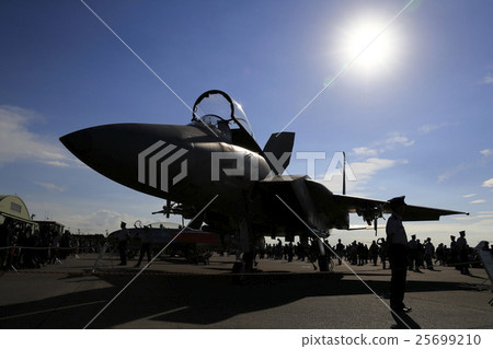 F-15 fighter plane 25699210