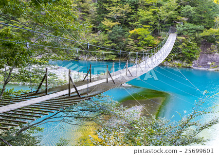 常金剛泉夢想懸索橋 常金剛泉夢想懸索橋 25699601