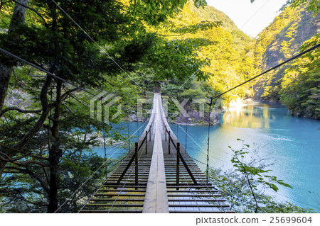 常金剛泉夢想懸索橋 常金剛泉夢想懸索橋 25699604