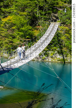 常金剛泉夢想懸索橋 常金剛泉夢想懸索橋 25699615