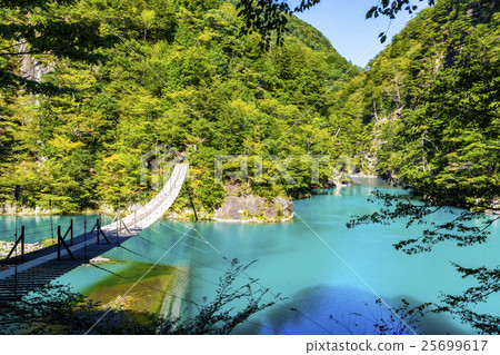 Chang Geumgang Springs Dream Suspension Bridge Chang Geumgang Springs Dream Suspension Bridge 25699617