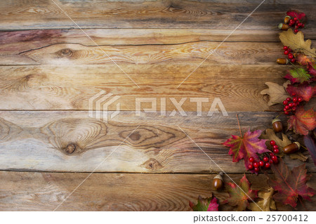 Thanksgiving  greeting background with berries 25700412