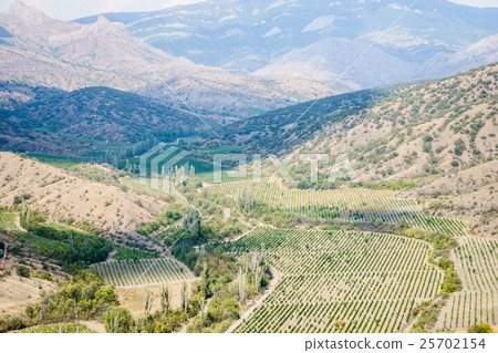 Beautiful landscape with hills covered by trees 25702154