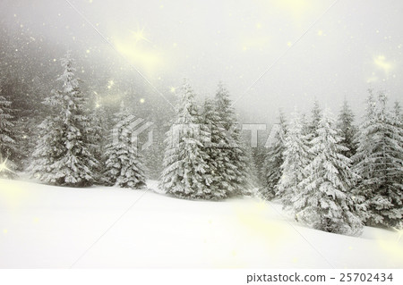 Christmas background with snowy fir trees Christmas background with snowy fir trees 25702434