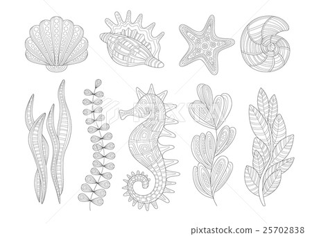 Underwater Nature Set Adult Zentangle Coloring 25702838