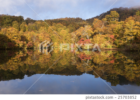 Kishi pond of autumn fall shining in the morning sun Kishi pond of autumn fall shining in the morning sun 25703852