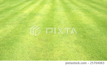 Green grass background 25704063