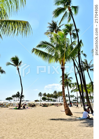 Holidays in Hawaii 25704986