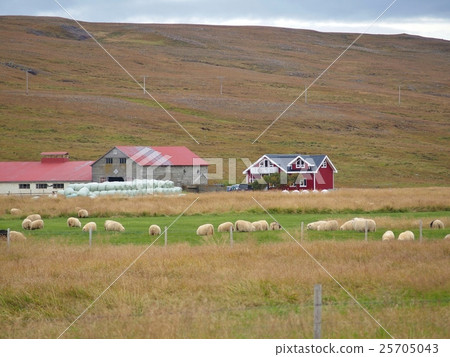 冰島秋天風景 25705043