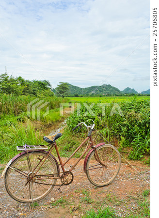 Old bicycle at rice field 25706805