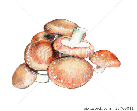 Fruits & Vegetables Cooking Mushrooms Food 25706811