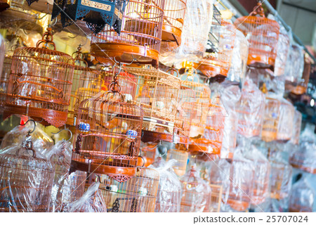 Bird for sale in Yuen Po Street bird garden 25707024