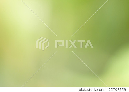 Green nature background Green nature background 25707559