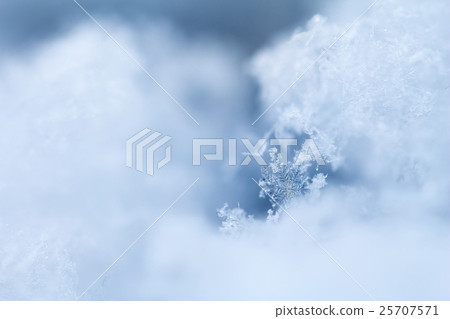 雪花 25707571