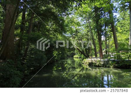 Ise Shrine · Utamiya · Oikei 25707848