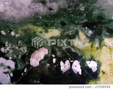 Moss wall 25709764