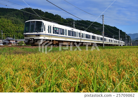 Railway train Yamagi Main Line Yagi ~ Chiyogawa Kyoto Rice paddy field Blue Rice Inukiyama JR West Japan 25709862