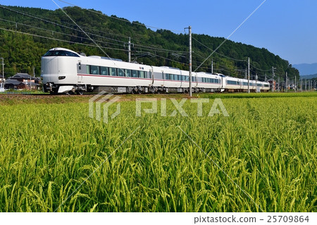 Railway train Yamanote line Yagi ~ Chiyogawa Kyoto rice field paddy Kaneda Sora mountain JR West Nippon Railway 25709864