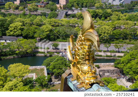 Osaka Castle Osaka Castle 25710241