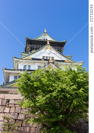 Towering Osaka Castle castle tower 25710243