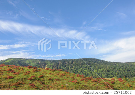 Autumn leaves of Shiga Takahara Yoshigira 25711062