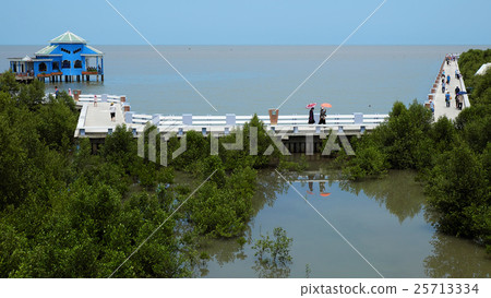 tourist travelling Dat Mui, Ca Mau 25713334