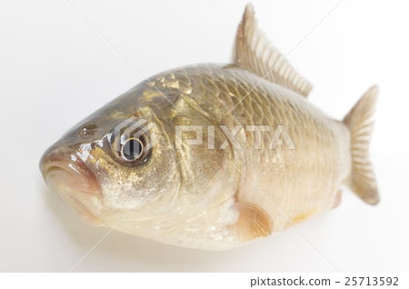 Gimbana (Huna) overlooking breadth Generic name of Funa Gimbana (Huna) overlooking breadth Generic name of Funa 25713592