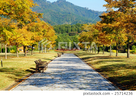 太平山度假公園的Haenile 25714236