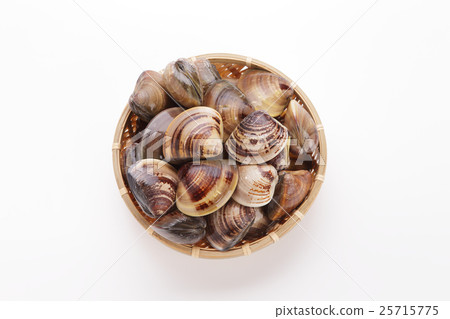 來自首都偏頭痛的拖延者 25715775