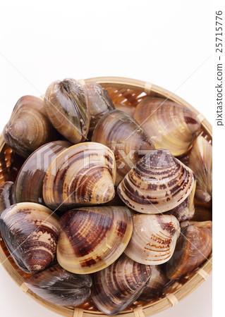 Procrastinator from the capital Migraine Procrastinator from the capital Migraine 25715776