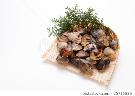 Procurement of capram fence from Mie Prefecture Procurement of capram fence from Mie Prefecture 25715829