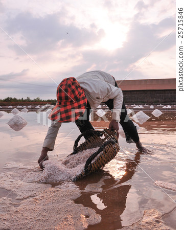 Salt field in Kampot, Cambodia Salt field in Kampot, Cambodia 25715846