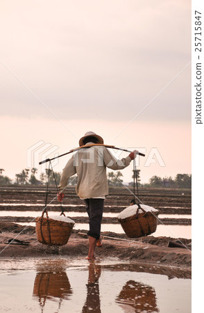 Salt field in Kampot, Cambodia Salt field in Kampot, Cambodia 25715847