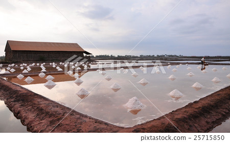 Salt field in Kampot, Cambodia 25715850